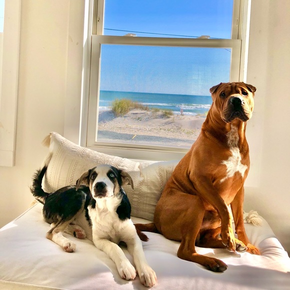 💜💜💜 - Picture 3 of 4